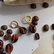 Kahve Çekirdeği Küpe